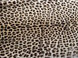 Leopard skin